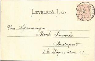1899 Csárdás, magyar folklór. Strelisky cs. és kir. udvari fényképész / Hungarian folklore, traditio...
