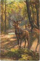 Hunter art postcard, deer, stag (EK)
