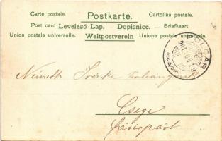 1901 Romantic couple, lady art postcard. Art Nouveau, floral, litho (fl)