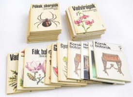 Búvár zsebkönyvek 22 kötete, és a Kolibri Könyvek 4 kötete, összesen 26 db. Egy ismétlődéssel. Bp.,1972-1989 ,Móra. Kiadói kartonált papírkötés.