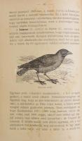 Hanusz István: Az állatok világából. Bp., é.n., Méhner Vilmos. Kiadói félvászon kötésben, kissé kopo...