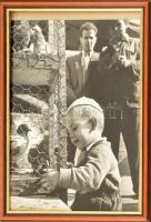 cca 1950 Galambász fiú Nagy méretű vintage fotóművészeti alkotás, üvegezett keretben. 37x29 cm