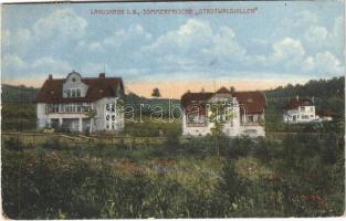 1918 Landskroun, Landskron; Sommerfrische Stadtwaldvillen / villa, holiday resort. Verlag Moritz Mikesch (EK)
