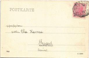 1902 Maria Wörth (Kärnten), Sepiakarte Leon