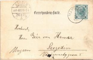 1901 Mayrhofen (Tirol), Berliner Hütte im Zillertal / chalet, tourist hotel, mountains. photo