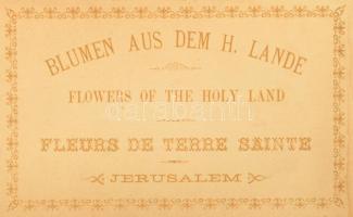 cca 1891 A Szentföld virágai fa-borítású füzet 12 szárított virággal 13 t. Sérült gerinc / Flowers of the Holy Land. 12 dried flowers in wood covered booklet damaged spine.