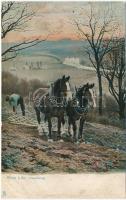 1907 Rural Life. Harrowing. Raphael Tuck & Sons Rural Life Series 1421. (r)