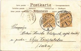 1900 Tigris / Tiger. Art Nouveau, floral, litho (EK)