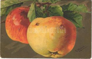 1917 Still life art postcard with fruits. Wenau-Pastell No. 538. s: C. Klein (EK)