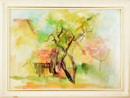 Sulyok Teréz (1959-): Tavaszvárás. Akvarell, pasztell, papír, jelzett. Üvegezett fa keretben, 48×68 ...