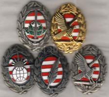 Katonai akadémia jelvények garnitúra 5db T:I