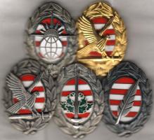 Katonai akadémia jelvények garnitúra 5db T:I