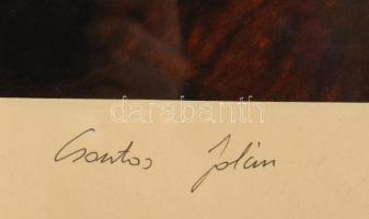 Csontos Jolán (1946-): Mártélyi alkony. Fotó, papír, jelzett. 35,5×47 cm. Üvegezett fa keretben. Kiá...