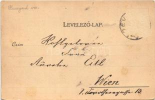 1898 (Vorläufer) Déva, Deva; Vármegyeház, Piactér, Fő utca, Vajdahunyad vára, Déva vára, Holtzer Kár...