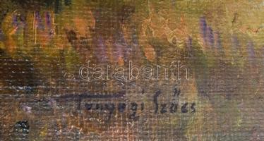 Tunyogi Szűcs Sándor (1890-1974): Hazafelé. Olaj, vászon, jelzett. Dekoratív blondel keretben. 74x94...