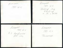 1989 Tüntetés a nagymarosi vízlépcső ellen, 1989. április 3. A fotókon Dienes István (1929-1995) rég...