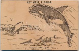 Key West (Florida), Dolphins. Durable Quality Wood Postcard