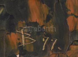 Balikó Ferenc (?-): Csikó (Volendam, Hollandia). Olaj, farost, jelzett, fa keretben, hátoldalán feli...