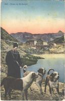 1931 Chiens du St-Bernard / St. Bernard dogs (EB)