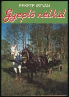 Fekete István: Gyeplő nélkül. H.n., 1994, Nesztor. Kiadói papírkötés.