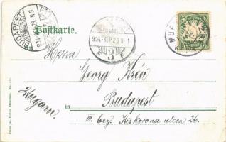 1904 München, Munich; von Haidhausen gesehen, Kgl. Hofbräukeller im Vordergrunde / general view, bee...