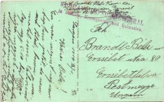 1917 Sarajevo, Landesregierungspalais / Palaca zem. vlade / Landesbahnen-Direktion / Direkcija Zelje...