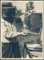 1939 Martonvásári méhész, Linzer Pál pecséttel jelzett vintage fotója, 17x12,6 cm
