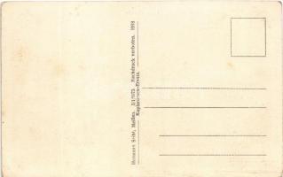 Steyr, Enge, Franz Pichler Puch Rad, Benzin Reparaturer, Zahnartzt / street, shops, dentist, bicycle...