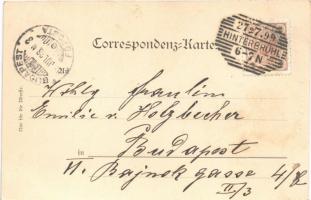 1899 Hinterbrühl, general view. Phot. u. Verlag v. R. Wild Nr. 24. (fl)