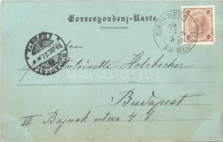 1899 Kirchberg am Wechsel, Platz / square. Alois Pelnitschar (fl)