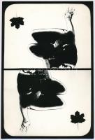 cca 1977 Dr. Spissák Lajos: Szimmetria tanulmány, feliratozott vintage fotóművészeti alkotás, a magyar fotográfia avantgarde korszakából, 23,8x16,2 cm