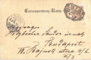 1899 Mödling, Der Schwarze Turm / tower ruins (fl)