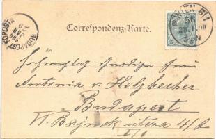 1900 Wien, Vienna, Bécs; Schottengasse, Währingerstrasse / street view, tram, horse-drawn carriages....