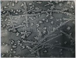 cca 1933 Kinszki Imre (1901-1945) budapesti fotóművész hagyatékából jelzés nélküli vintage fotó (jégvirág), 20x15,5 cm