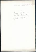 cca 1934 Kinszki Imre (1901-1945) budapesti fotóművész hagyatékából pecséttel jelzett vintage fotó (...