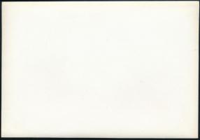 cca 1931 Kinszki Imre (1901-1945) budapesti fotóművész hagyatékából jelzés nélküli vintage fotó (für...