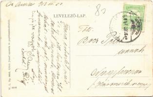 1913 Marosludas, Ludosul de Mures, Ludus; Kertöntözés turbina hajtással. W. L. Bp. 6405. Glück Józse...