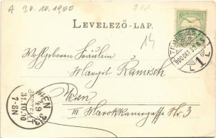 1900 Temesvár, Timisoara; Józsefvárosi zárda és templom, De Notre Dame felsőbb leányiskolája / churc...