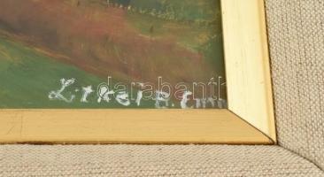 Litkei B jelzéssel: Táj. Olaj, farost, üvegezett keretben, 24×31 cm