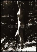 Különböző időpontokban szervezett aktfotózások felvételei, 20 db vintage NEGATÍV, 24x36 mm