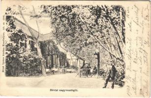 1903 Hévíz, Nagyvendéglő kerthelyiség. Mérei Ignác 140. 1902.