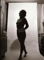 A fotográfia legizgalmasabb műfaja, amelyet minden fotós kipróbál; szolidan erotikus felvételek, 18 ...