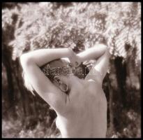 cca 1978 Pillangó a popsin, 5 db vintage NEGATÍV Marinkay István (1920-?) veszprémi fotóművész hagya...