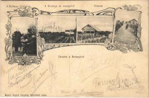 1907 Búrtanya (Kecel), birtokosok, szőlőskert az országútról, veranda, Fő út. Szabó Árpád fénykép felvételei után, Art Nouveau