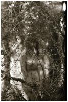 Mindenkiből egy keveset, különböző időpontokban, többek közreműködésével készült felvételek, 33 db N...