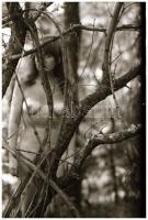 Mindenkiből egy keveset, különböző időpontokban, többek közreműködésével készült felvételek, 33 db N...