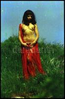 cca 1972 Az érdeklődés felkeltése, 23 db vintage NEGATÍV ismeretlen aktfotós archívumából, 24x36 mm