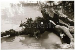 cca 1974 Kezdő fotómodellek iskolája, 25 db vintage NEGATÍV ismeretlen aktfotós archívumából, 24x36 ...