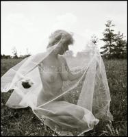 Egy sokat látott kamera néma meséi; különböző időpontokban, többek közreműködésével  készült felvéte...