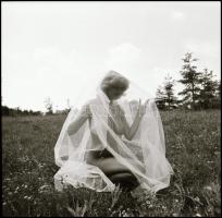 Egy sokat látott kamera néma meséi; különböző időpontokban, többek közreműködésével  készült felvéte...